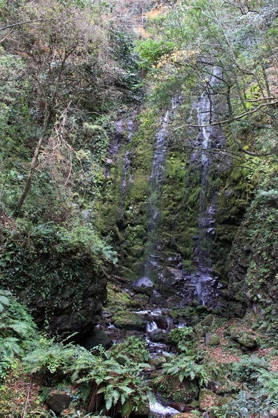 Eau Tombe Aux Chutes Onbara Beppu Oita Prise Septembre 2019 — Photo