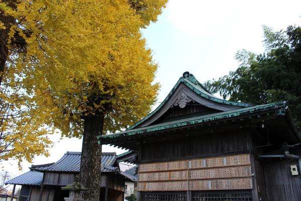 位于Oita Beppu的Yasaka Jinja神龛建筑群的主要寺庙 2019年12月拍摄 — 图库照片