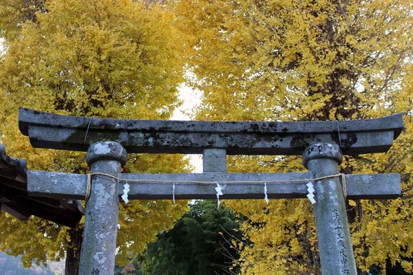 Gula Träd Och Entré Torii Gate Yasaka Jinja Helgedom Beppu — Stockfoto