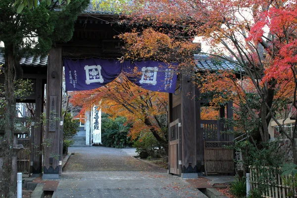 Árvores Vermelhas Torno Templo Honkoji Beppu Oita Tomado Dezembro 2019 — Fotografia de Stock