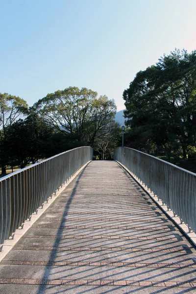 Puente Inakosu Del Parque Minamitateishi Beppu Oita Tomado Marzo 2020 — Foto de Stock