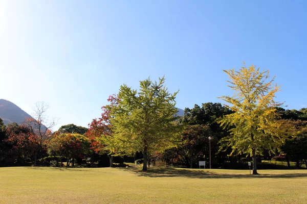 Minamitateishi Park Arka Planda Dağ Olan Renkli Japon Bahar Sezonu — Stok fotoğraf