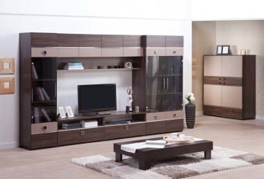 Oturma odası, Tv Standı