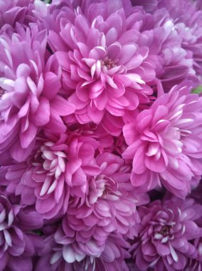 çiçek açan desen mono