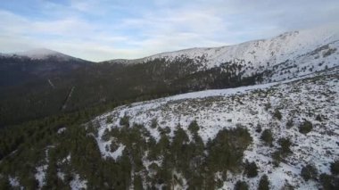 Sinematografik yükü üzerinden kar yağışı karlı çam ormanı vurdu