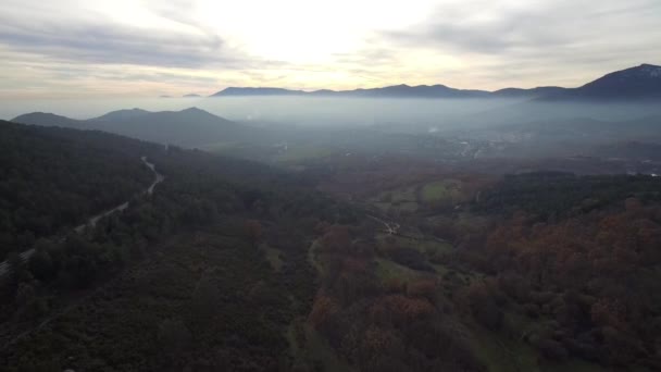 Fotografía Aérea Sobre Bosque Pinos Nevados — Vídeo de stock