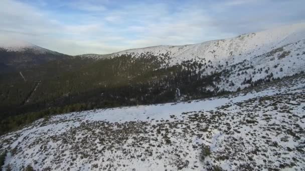 Kamerafahrt Über Verschneiten Kiefernwald Bei Schneefall — Stockvideo