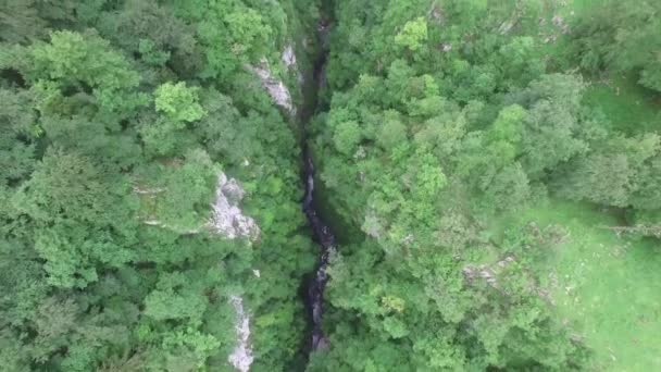 Canyon Rio Olhado Passarela Holzarte Selva Irati França Larrau Ponte Filmagem De Stock