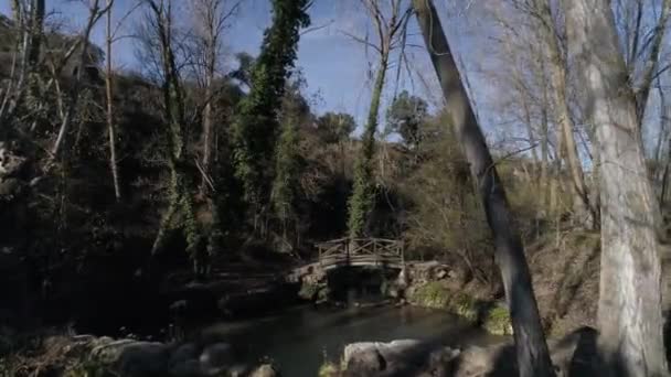 Lagoa Com Ponte Madeira Árvores Nuas Com Folhas Outono Vídeo De Stock