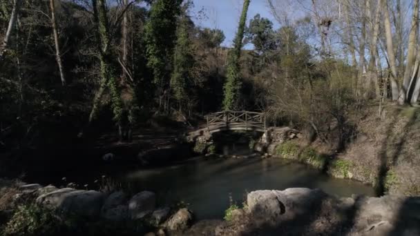 Lagoa Com Ponte Madeira Árvores Nuas Com Folhas Outono Filmagem De Stock