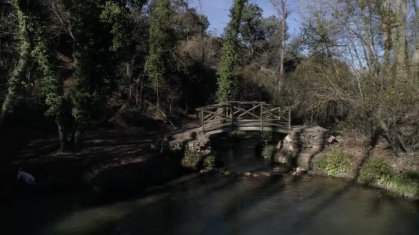 Lagoa Com Ponte Madeira Árvores Nuas Com Folhas Outono Filmagem De Stock Royalty-Free