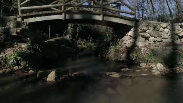 Lagoa Com Ponte Madeira Árvores Nuas Com Folhas Outono — Vídeo de Stock