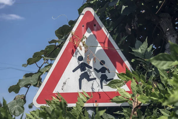 School Crosswalk Sign — Stock Photo, Image