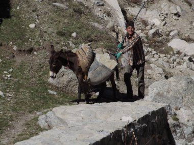 İran dağlarında taş nakliyesi üzerinde çalışan bir çocukla çalışan bir eşek.