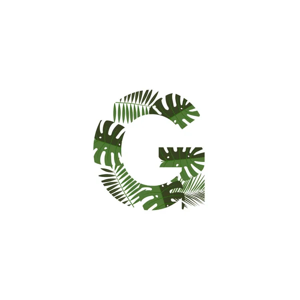 Tropical Jungle Vector Logo Letter Letter Design Vector Jungle Monsterra — Vetor de Stock