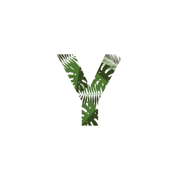 Tropische Jungle Vector Logo Letter Brief Design Vector Jungle Monsterra — Stockvector