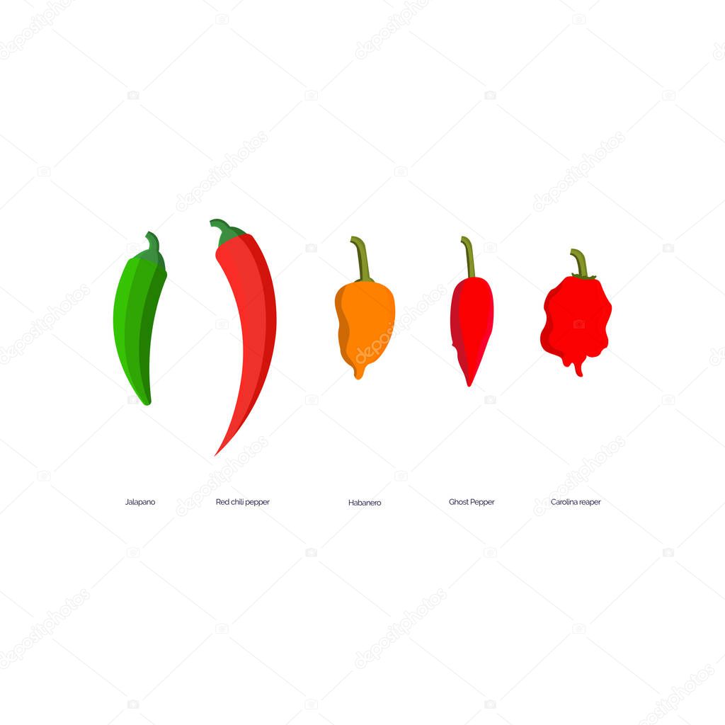 Vector Illustration of Jalapeno, Red Hot Chili Pepper, Habanero, Ghost Pepper, Carolina Reaper.