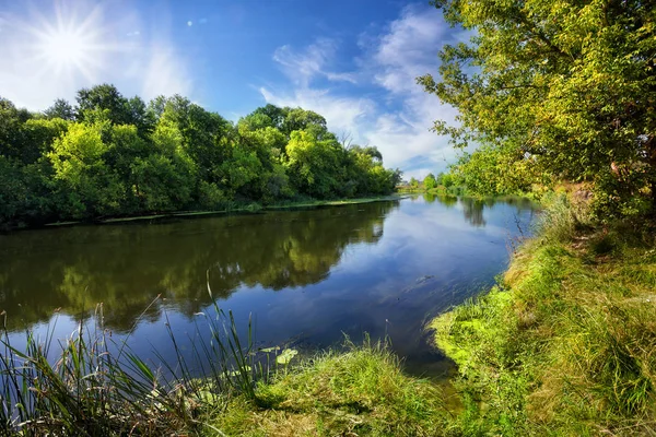 Blauer Fluss mit grünen Bäumen am Ufer — Stockfoto