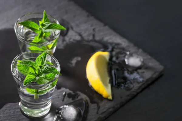 Vodka o ginebra con rodaja de menta y limón — Foto de Stock