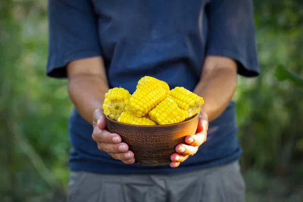 Тарілка кукурудзи в руках фермера — стокове фото