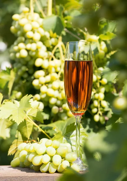 Copo alto de vinho e um monte de uvas — Fotografia de Stock