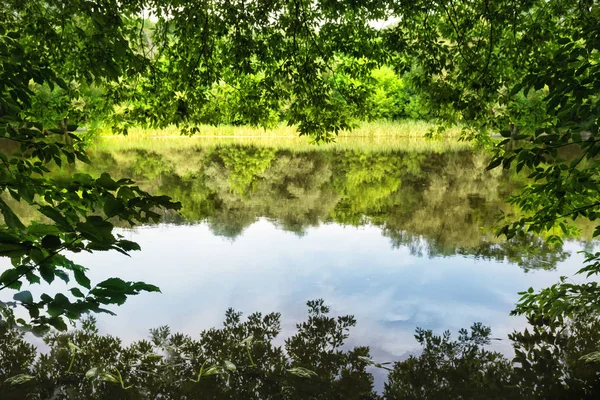 Озеро граничит с зеленой листвой — стоковое фото