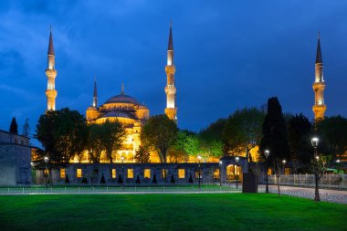 Yeşil çim ve Camii Sultanahmet Camii geceleri