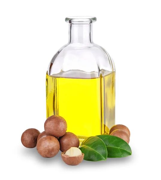 Macadamia oil in bottle and nuts — Stock Photo, Image