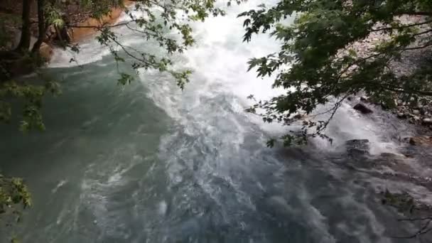 Corriente del río de montaña en las piedras — Vídeo de stock