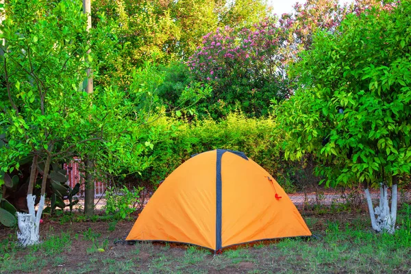 Tienda naranja entre árboles de camping naranjas — Foto de Stock