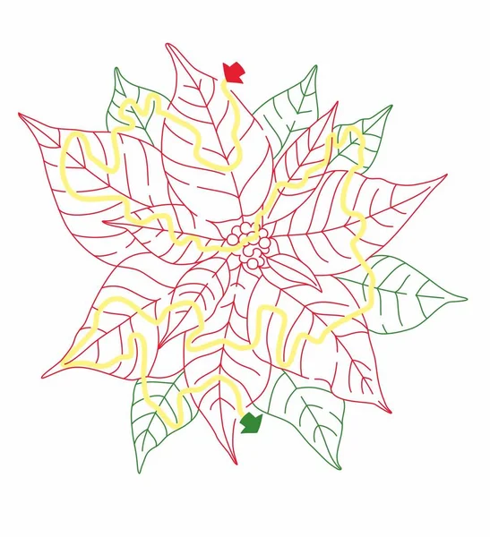 puansettia Noel labirent çizimi