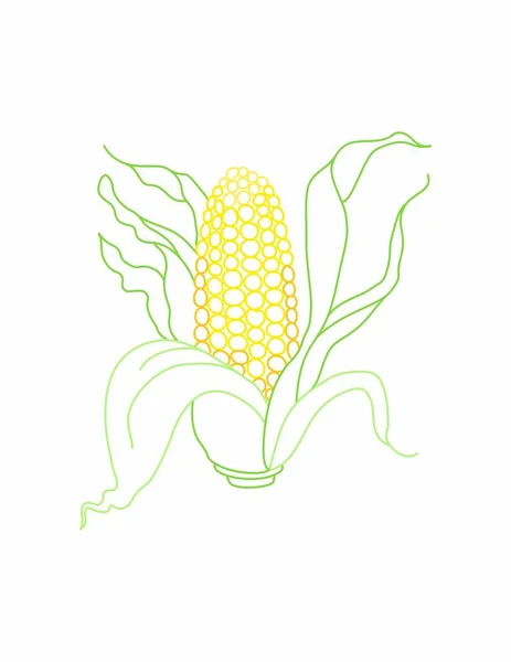 Maíz Para Colorear Ilustración Verduras — Vector de stock