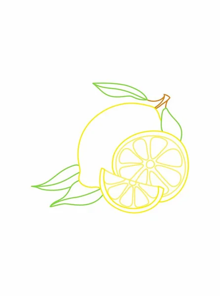 Lemon Illustration Coloring Fruit — Stock Vector