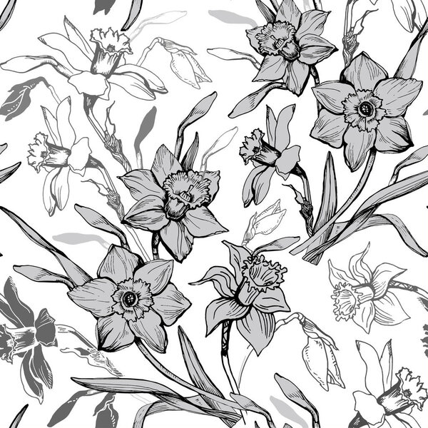 Monochrome botanical seamless pattern with hand drawn flowers daffodils