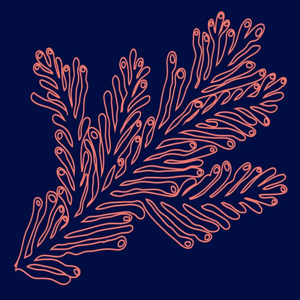 Vector de coral marino hecho en estilo garabato dibujado a mano . — Archivo Imágenes Vectoriales