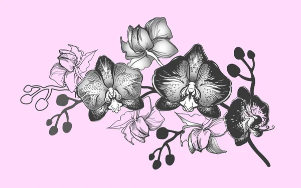 Scheda floreale botanica con ramo di fiori disegnato a mano — Vettoriale Stock