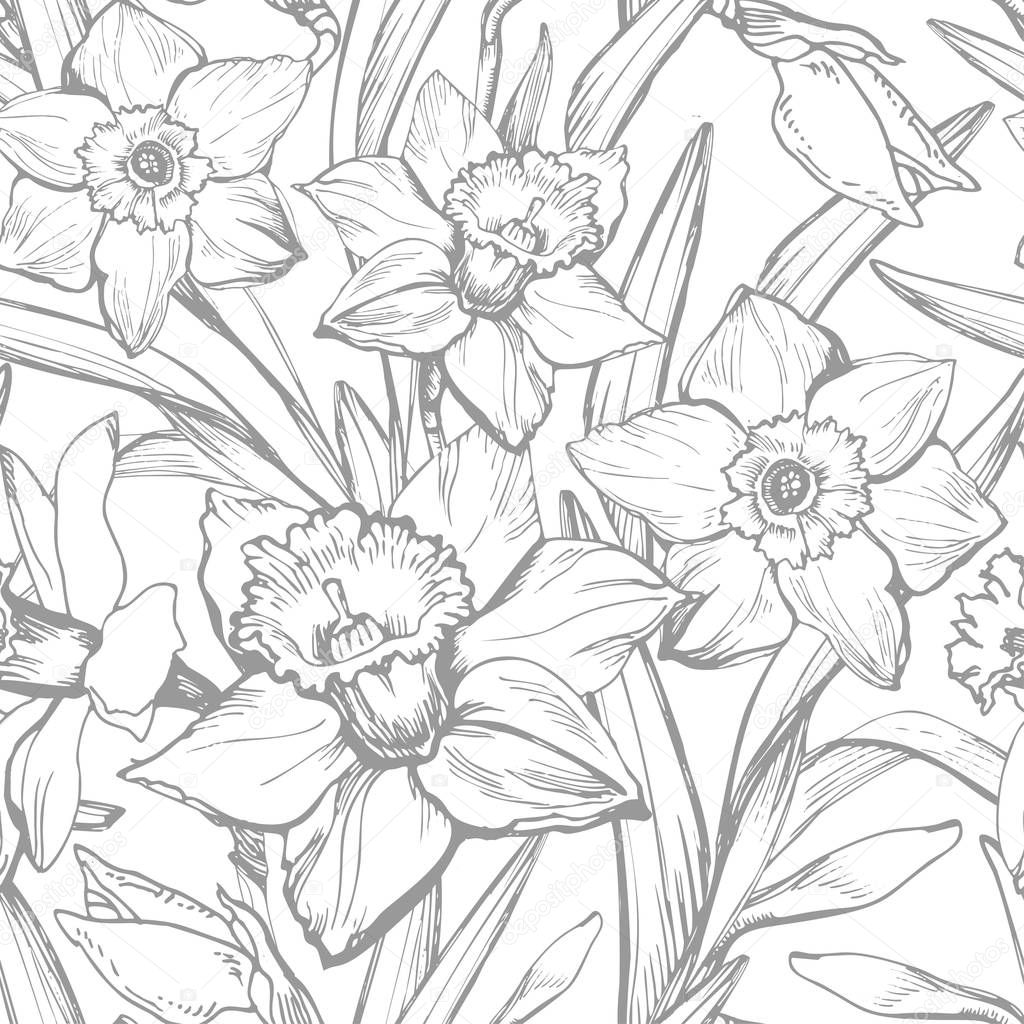 Hand drawn monochrome vector with narcissus, daffodils flowers