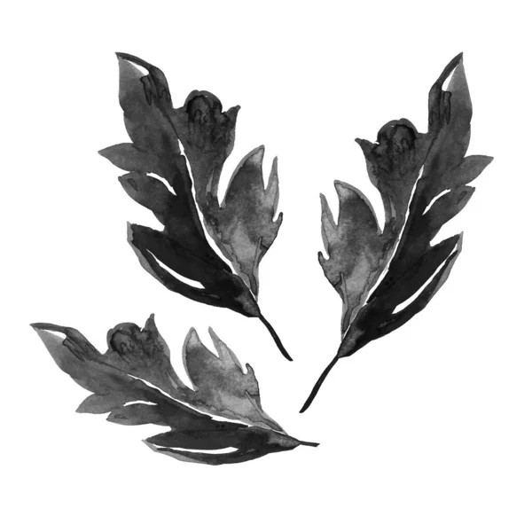 Monocromo acuarela hojas dibujadas por pincel de tinta a mano alzada aislado en whit —  Fotos de Stock