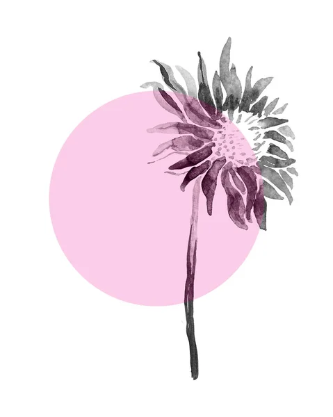 Virágos üdvözlőlap akvarell kézzel rajz Krizantém virág kerek formában. — Stock Fotó
