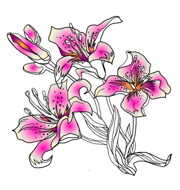 Çiçekli tebrik kartı ve bir buket el çizimi Lily çiçekleri..