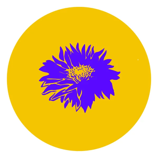 Chrysanthemum flower art object isolated on yellow round background. — Stock Vector