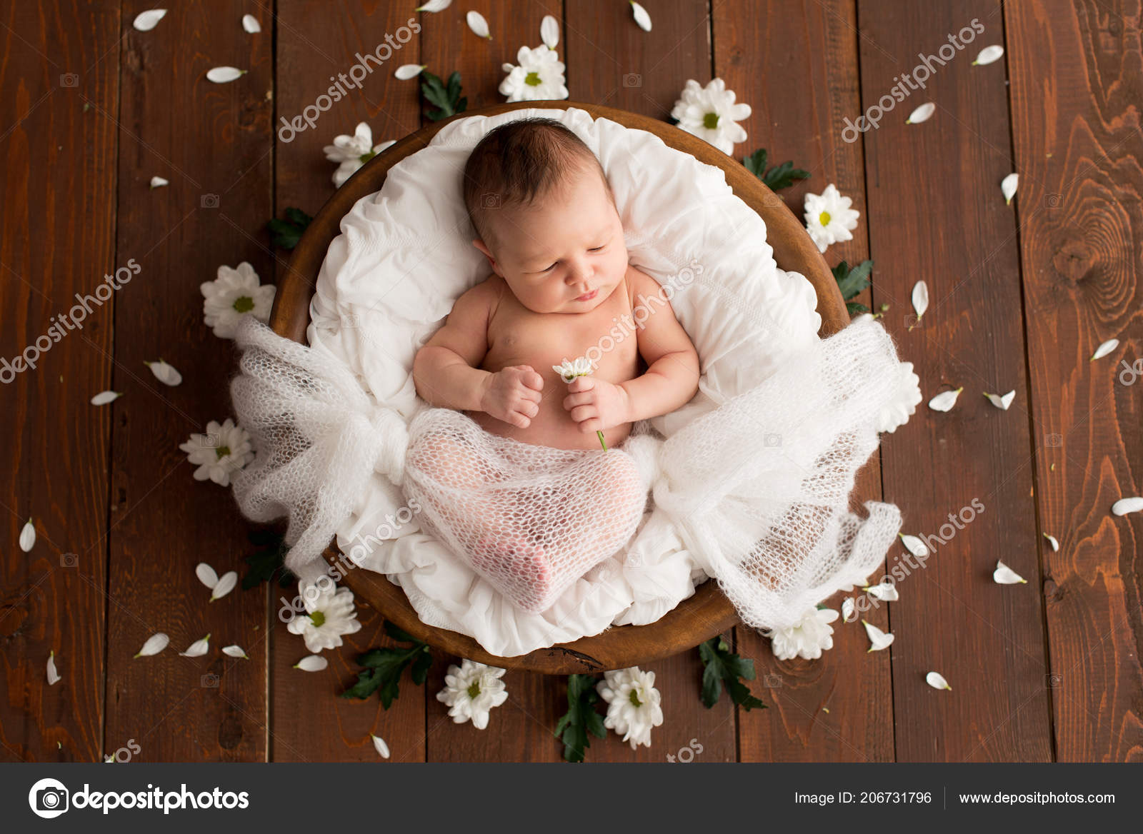Newborn Girl Brown Background Daisy Flowers Photoshoot Newborn ...