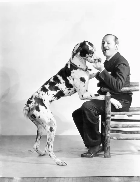 Homem Brincando Com Dalmatian — Fotografia de Stock