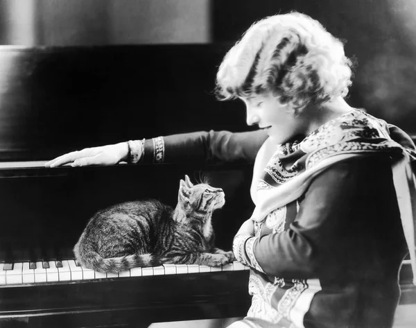 Kot Siedzi Fortepian Patrząc Się Kobieta — Zdjęcie stockowe