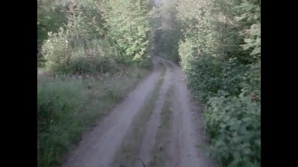 フォレスト 1970 年代の未舗装の道路上で車からの視点 — ストック動画