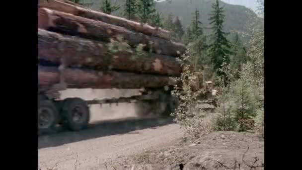 Logging Truck Driving Dirt Road 1970S — Stock Video