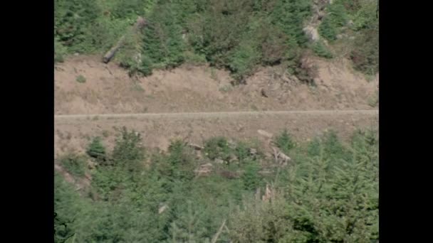 二十世纪七十年代在乡间公路上空翱翔的鹰的宽镜头 — 图库视频影像