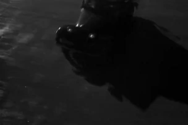 Двері Чоловіка Виходять Відкриті Двері Автомобіля Гостя 1940 — стокове відео