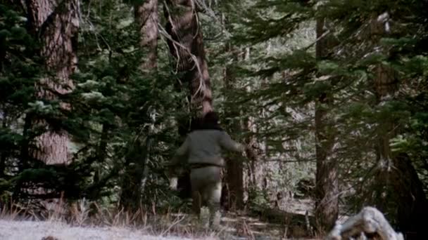 Rückansicht Eines Mannes Mit Gewehr Der Durch Wald Läuft 1980Er — Stockvideo