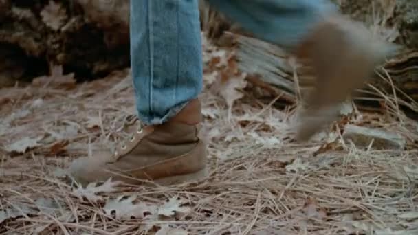 Close Men Feet Walking Racoon Rock Den 1980S — Stock Video